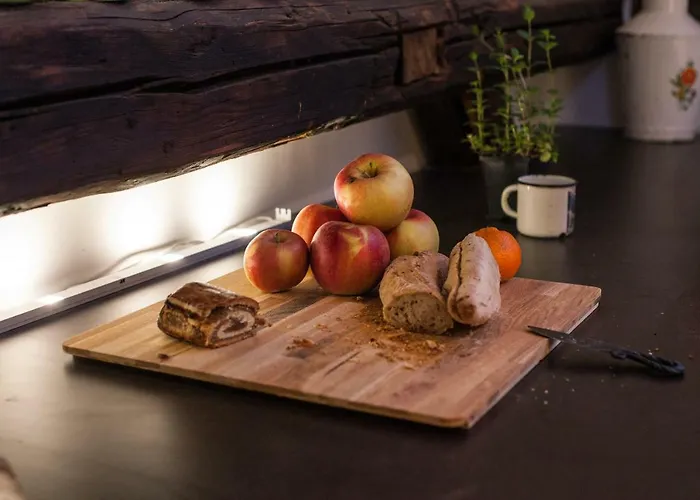 旅馆 布达佩斯达斯内斯特旅舍 *