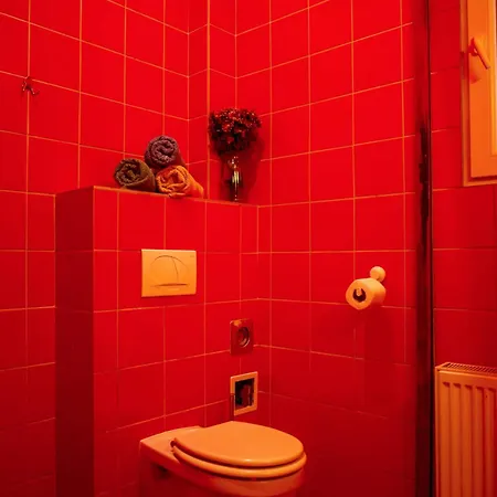 Nest Albergue
