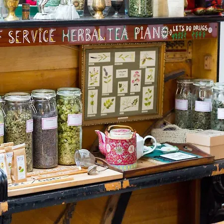 호스텔 다스 네스트 부다페스트