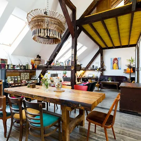 بيت شباب Nest *