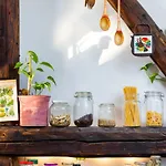 بيت شباب Nest *